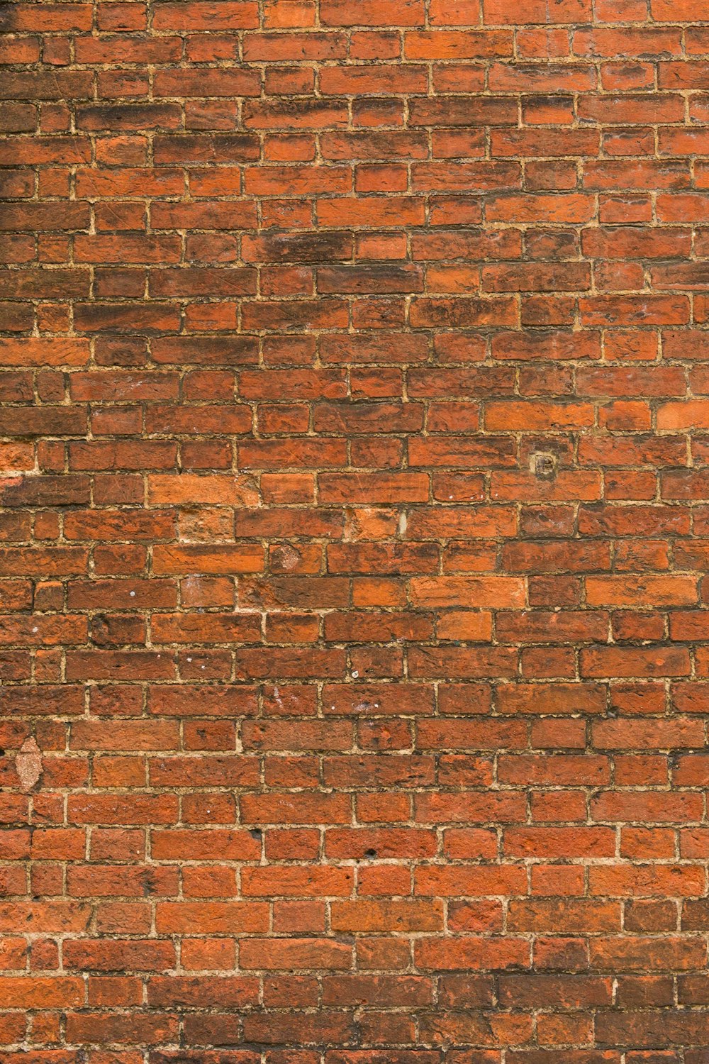 pared de ladrillos marrones