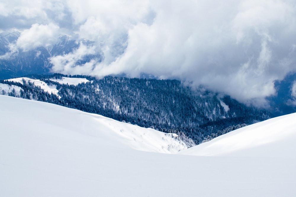 landscape photography of snow covered hill