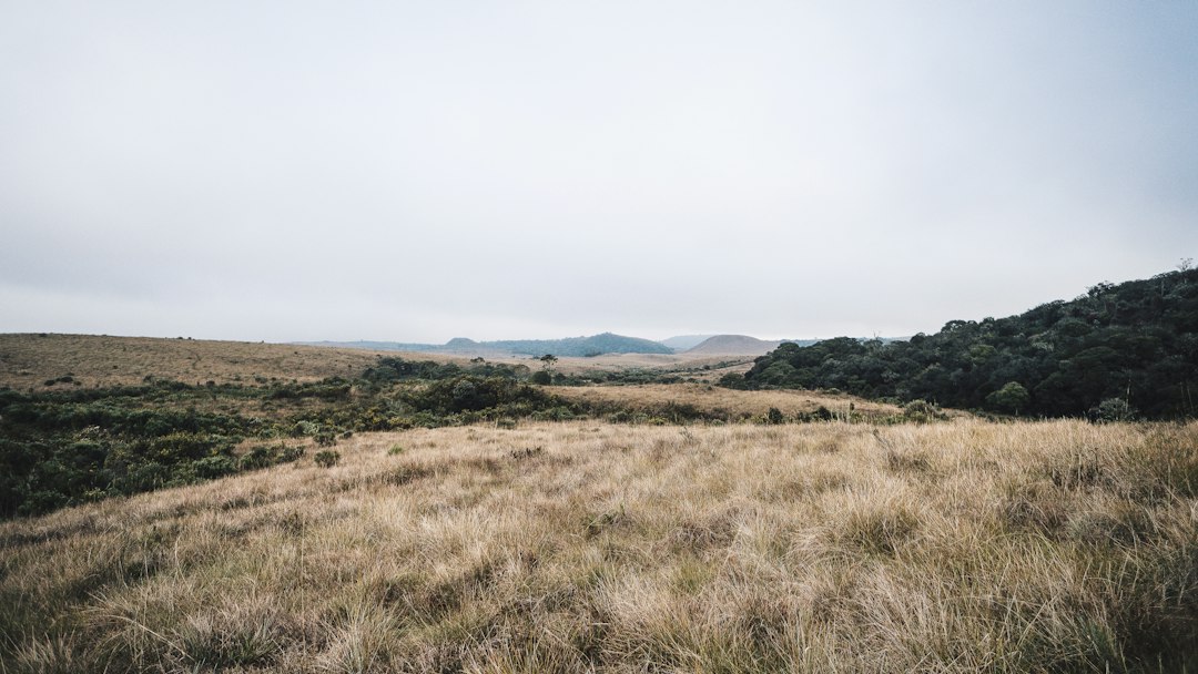 Rolling fields