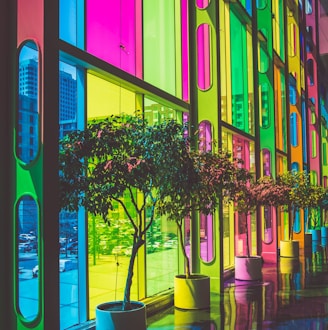 photo of green leafed plants inside building