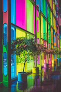 photo of green leafed plants inside building