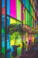 photo of green leafed plants inside building