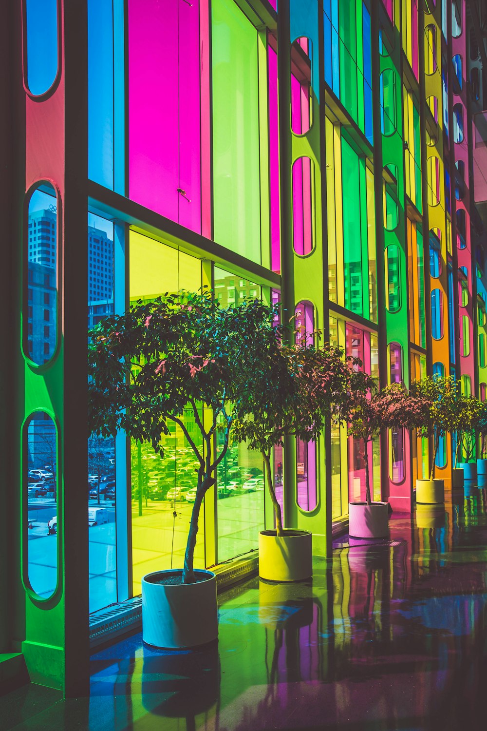 Foto di piante a foglia verde all'interno dell'edificio