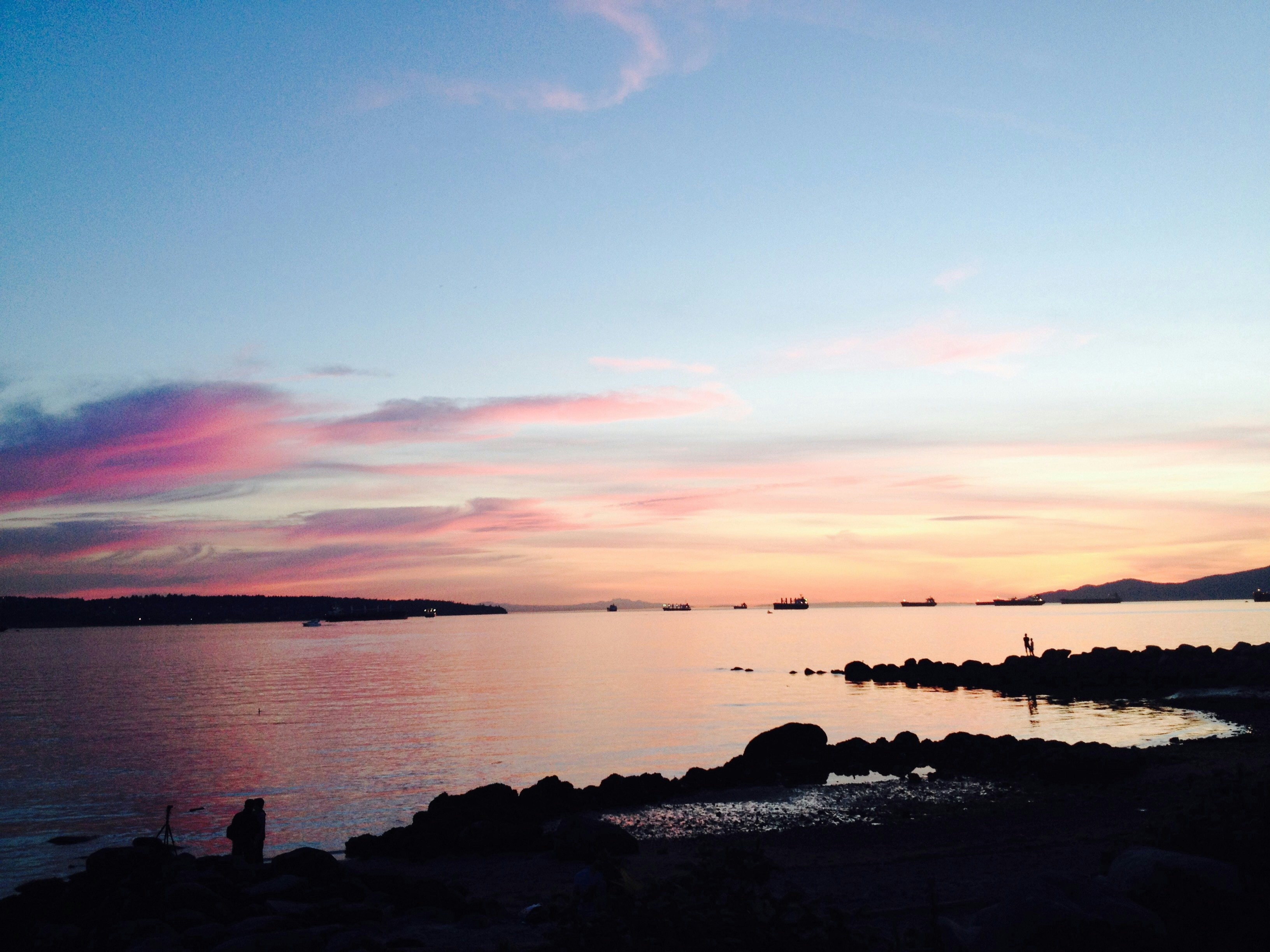 Free Unsplash photo from Claire Chen