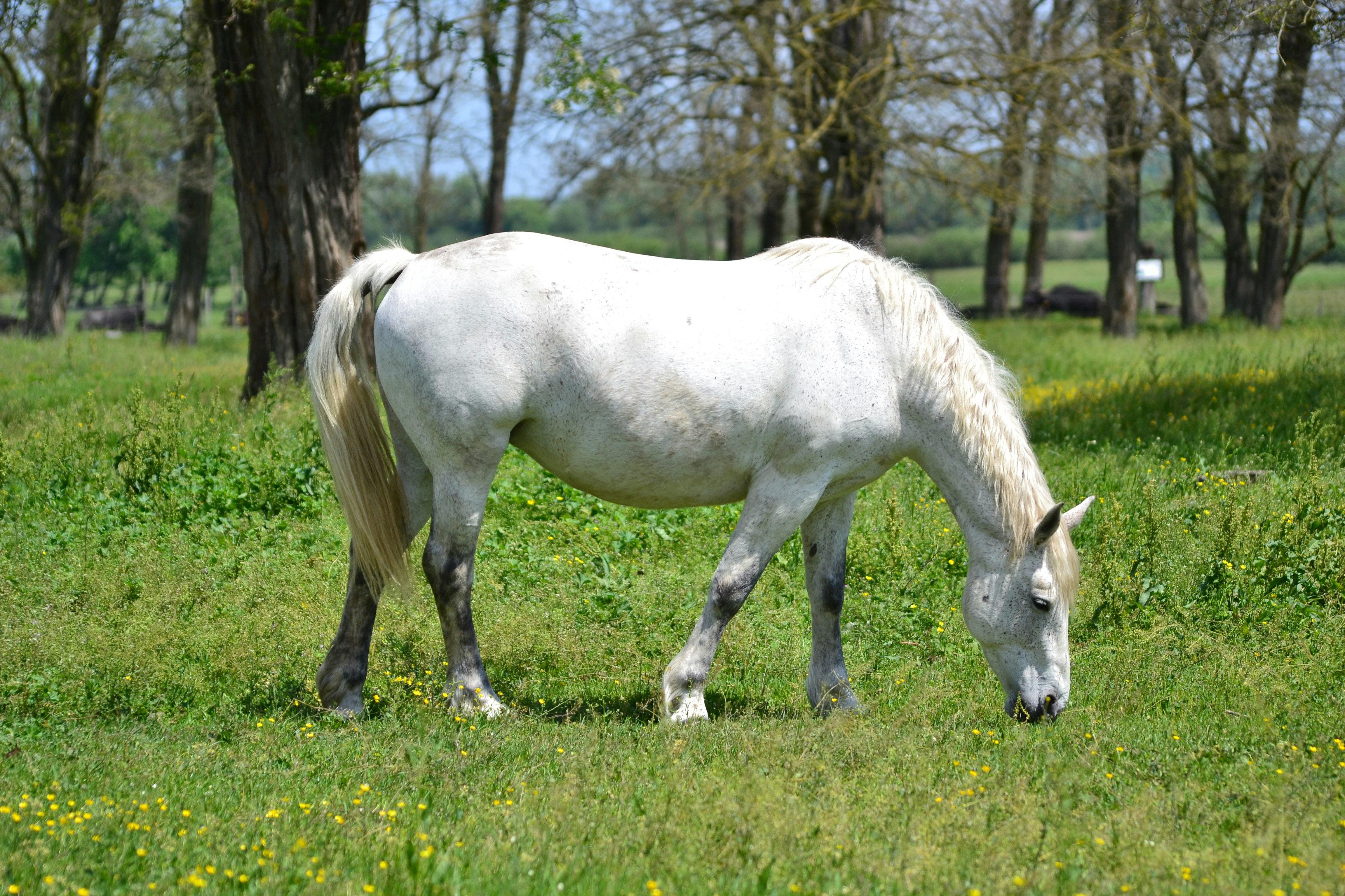 Free Unsplash photo from Szűcs László