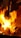 Vivid flames erupt from a fire pit, surrounded by individuals engaged in a ritual. They wear traditional attire and seem to be participating in a spiritual or religious ceremony.