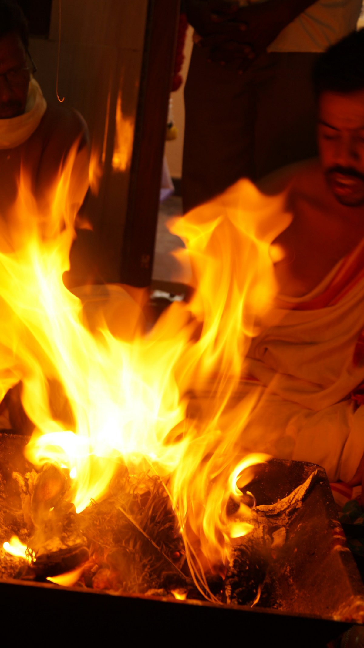 Understanding Twin Flame Cult Concerns: Coercion and Control Tactics
