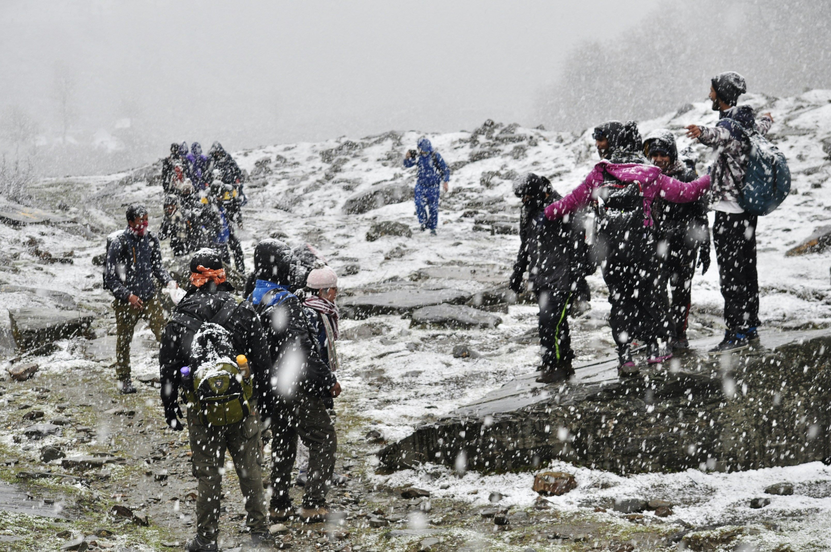 Free Unsplash photo from Deepak Kosta