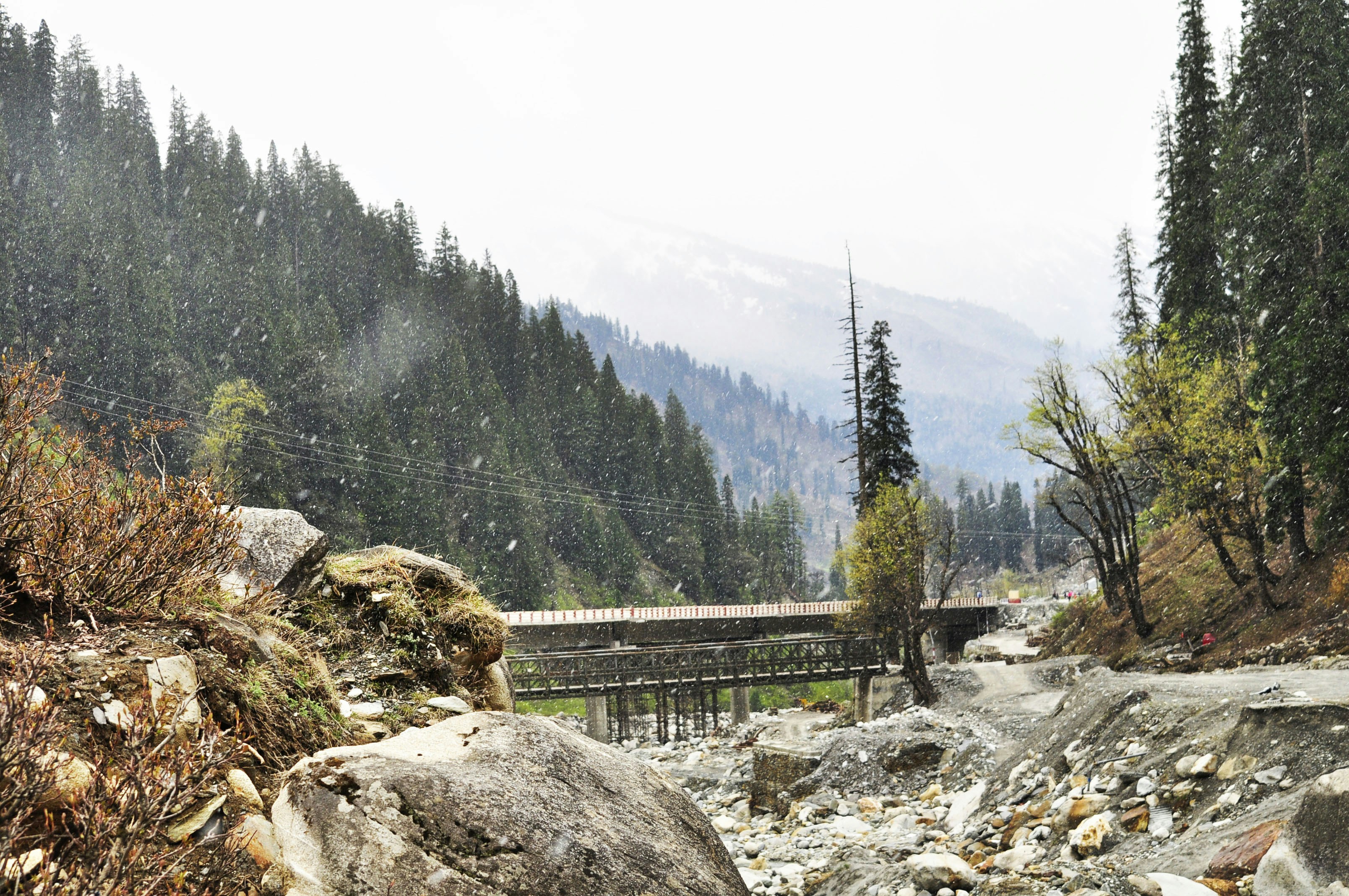 Free Unsplash photo from Deepak Kosta