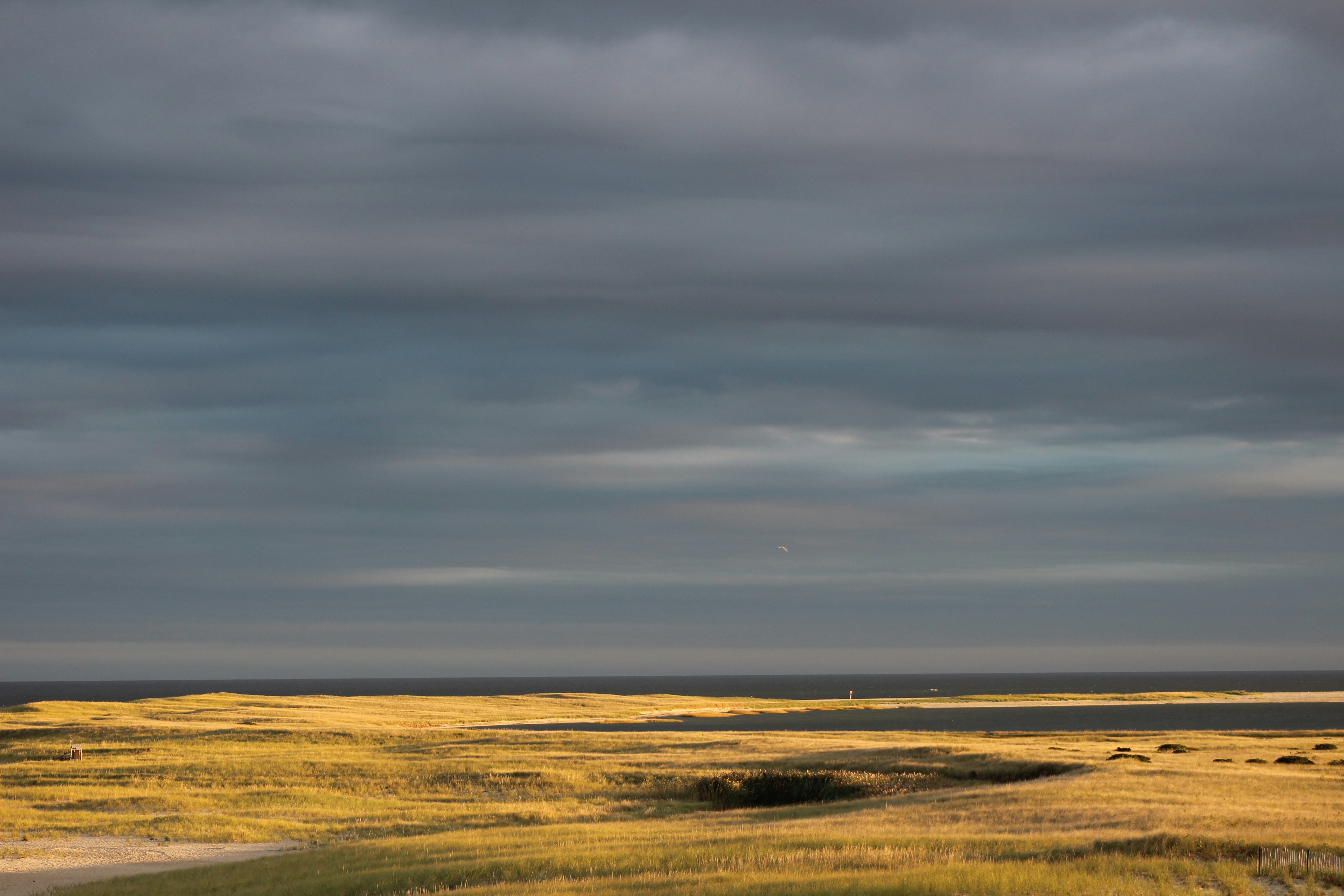 Free Unsplash photo from Berthomieu Catherine