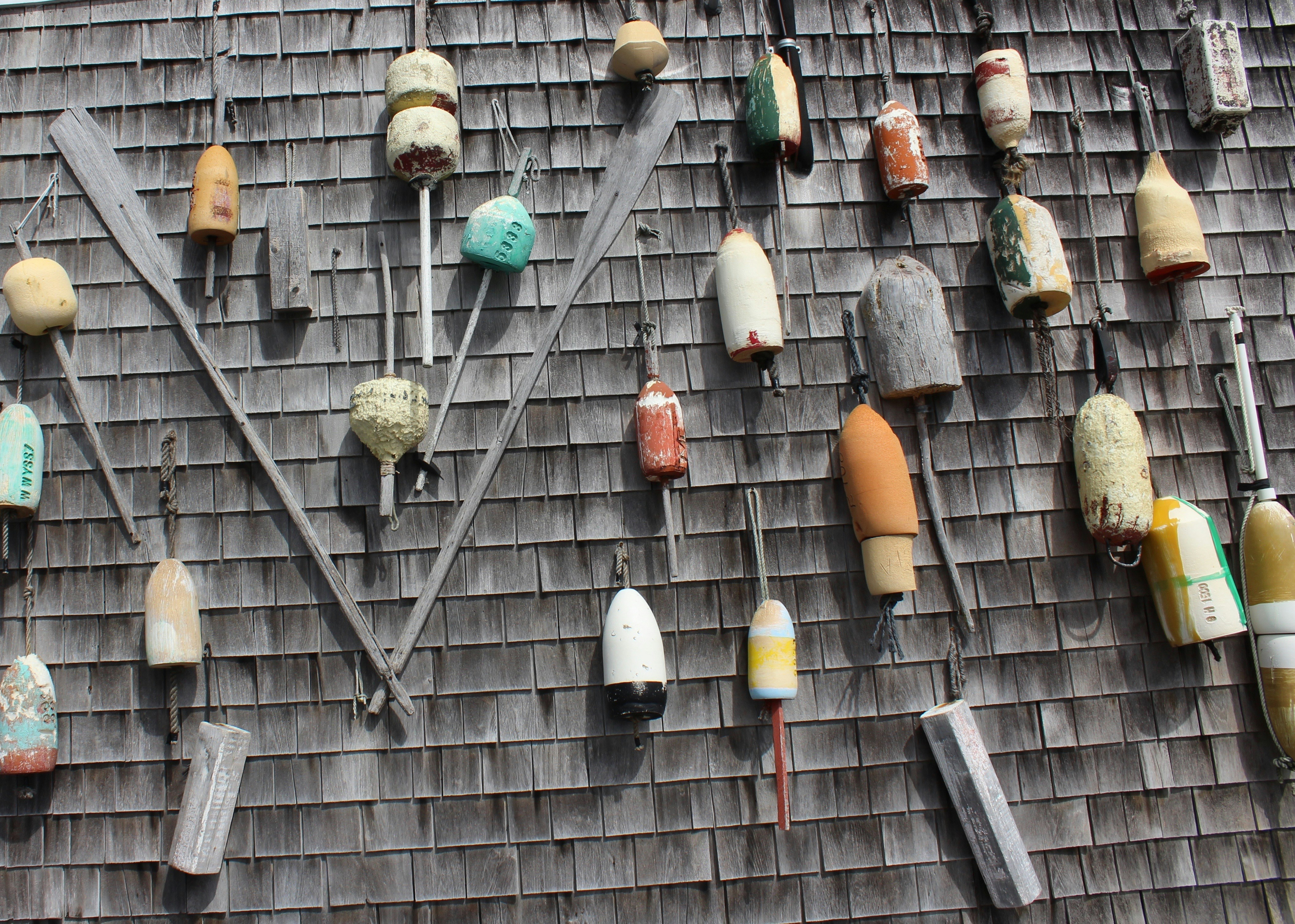 Free Unsplash photo from Berthomieu Catherine