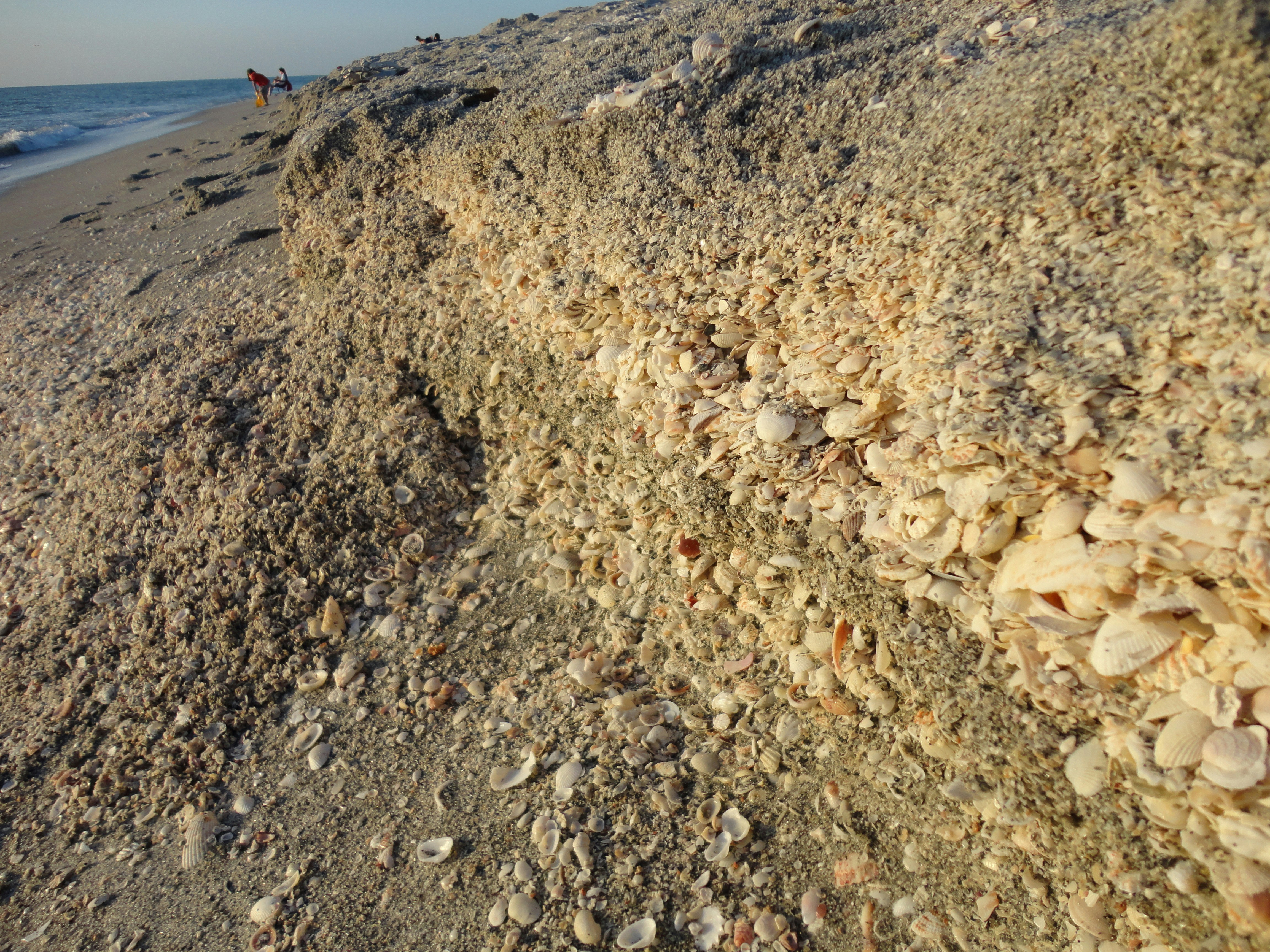 Free Unsplash photo from Berthomieu Catherine