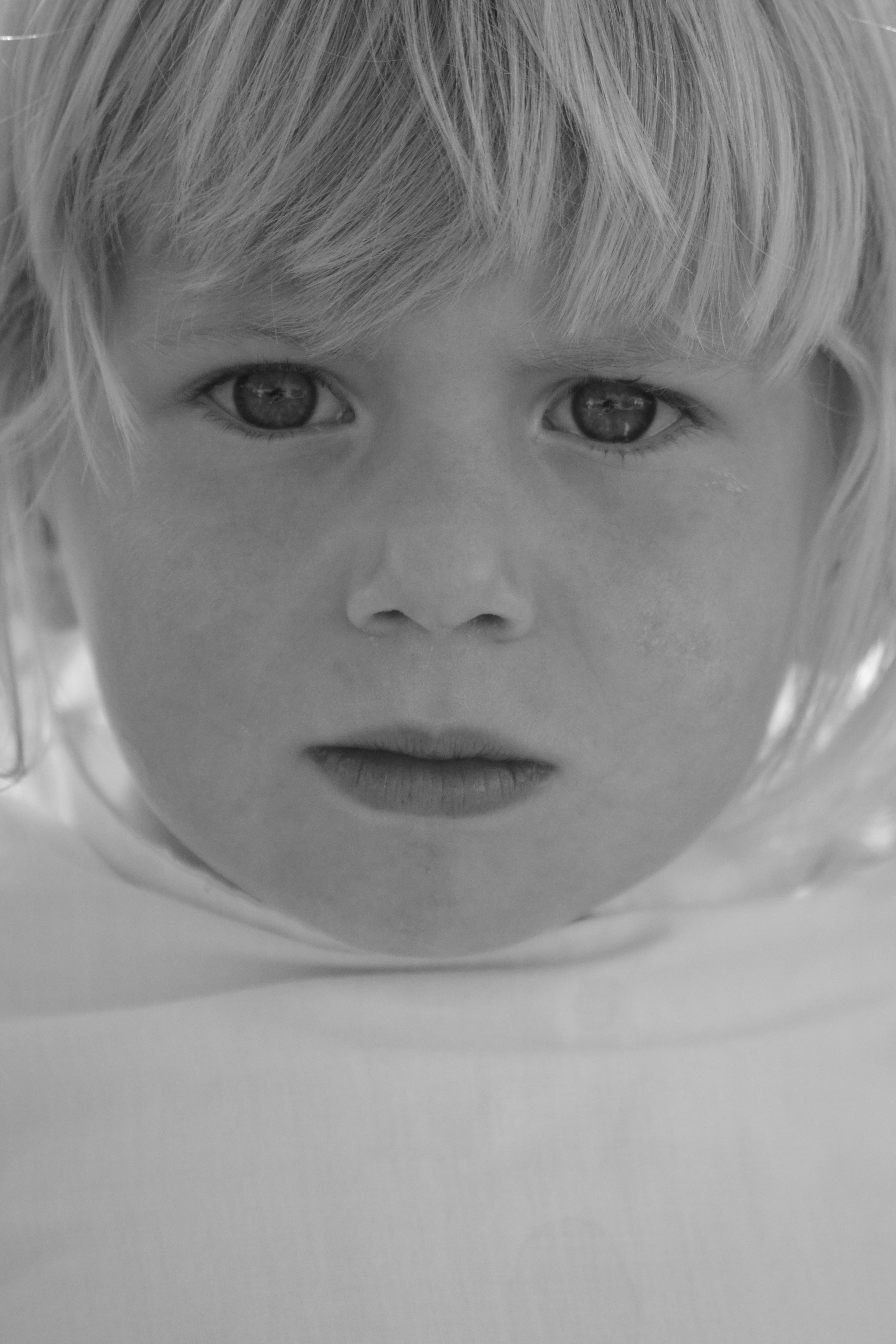 Free Unsplash photo from Szűcs László