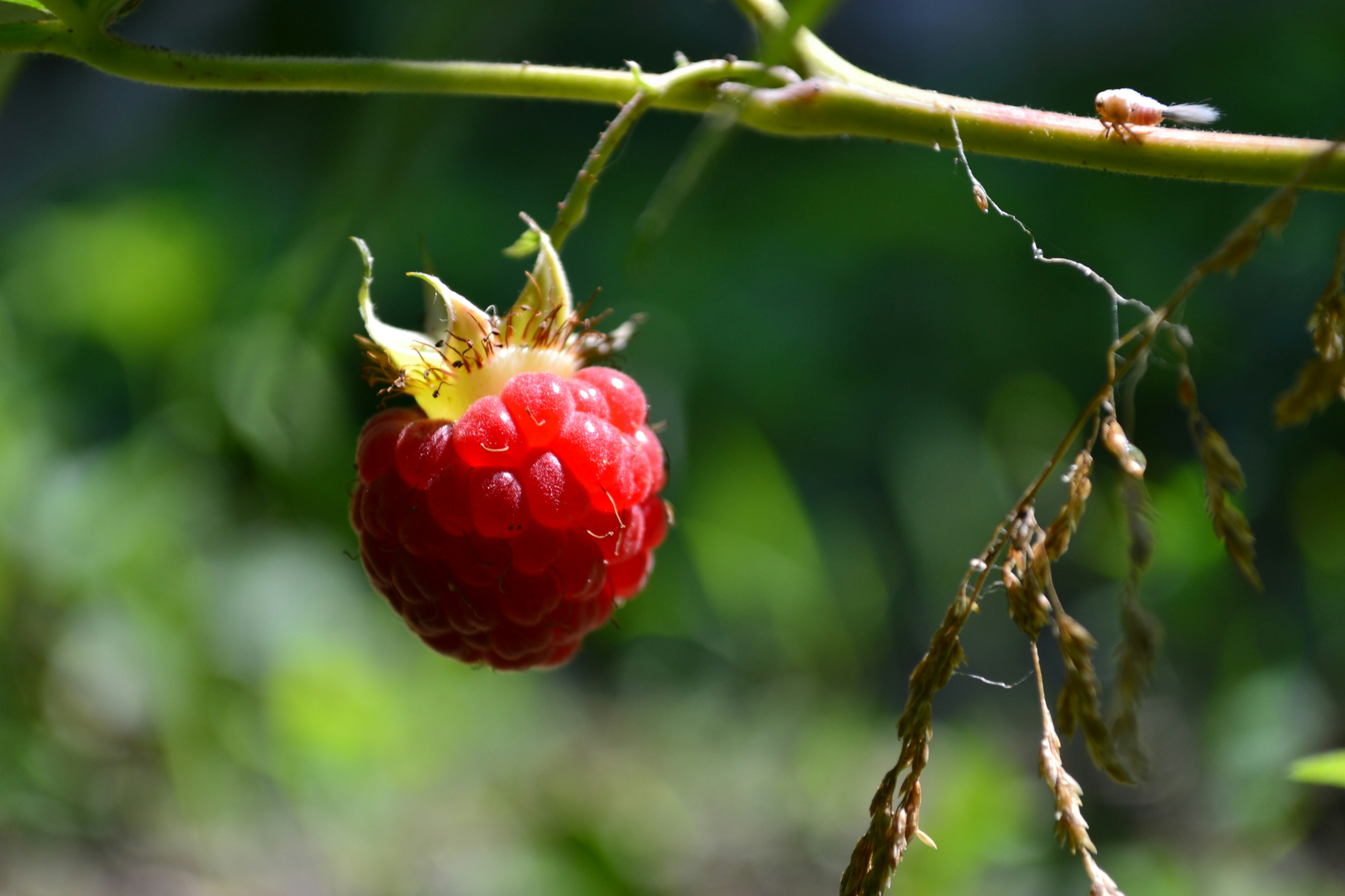 Free Unsplash photo from Szűcs László