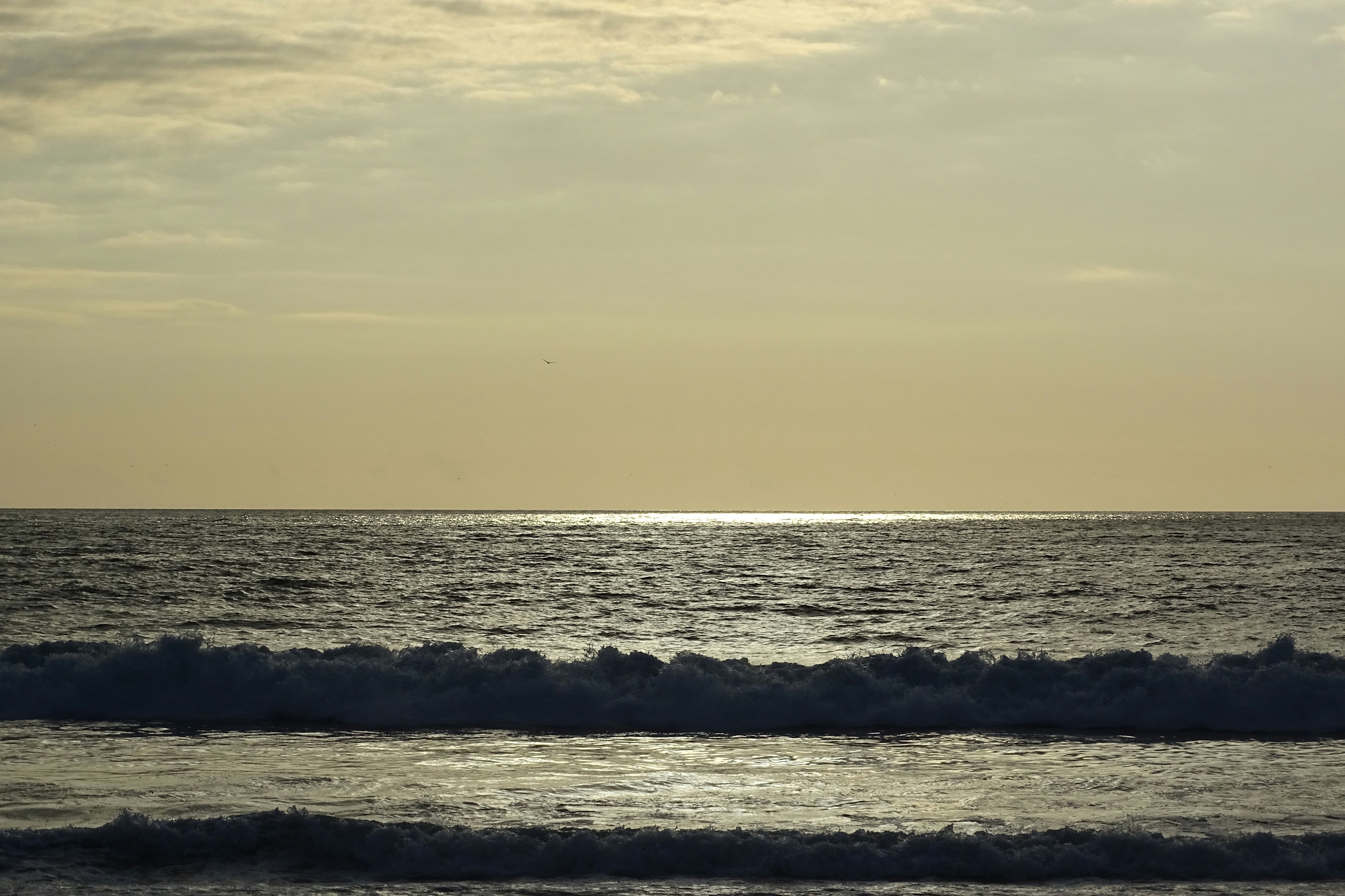 Free Unsplash photo from Eun Michelle