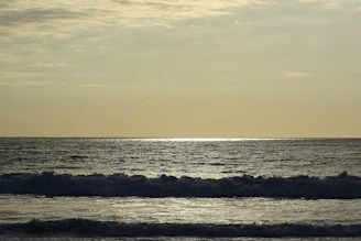 A calm sea horizon at dawn with soft light reflecting on gentle waves.