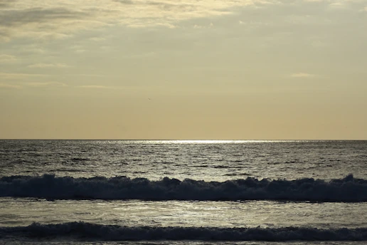 A calm sea horizon at dawn with soft light reflecting on gentle waves.