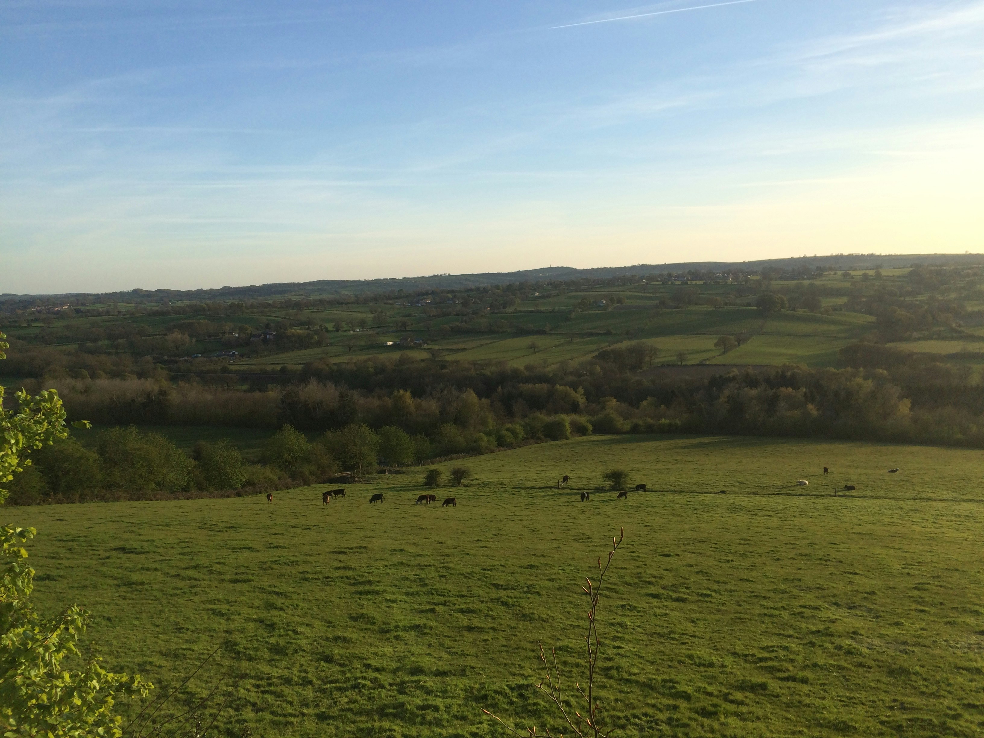 Free Unsplash photo from Josh Eaton