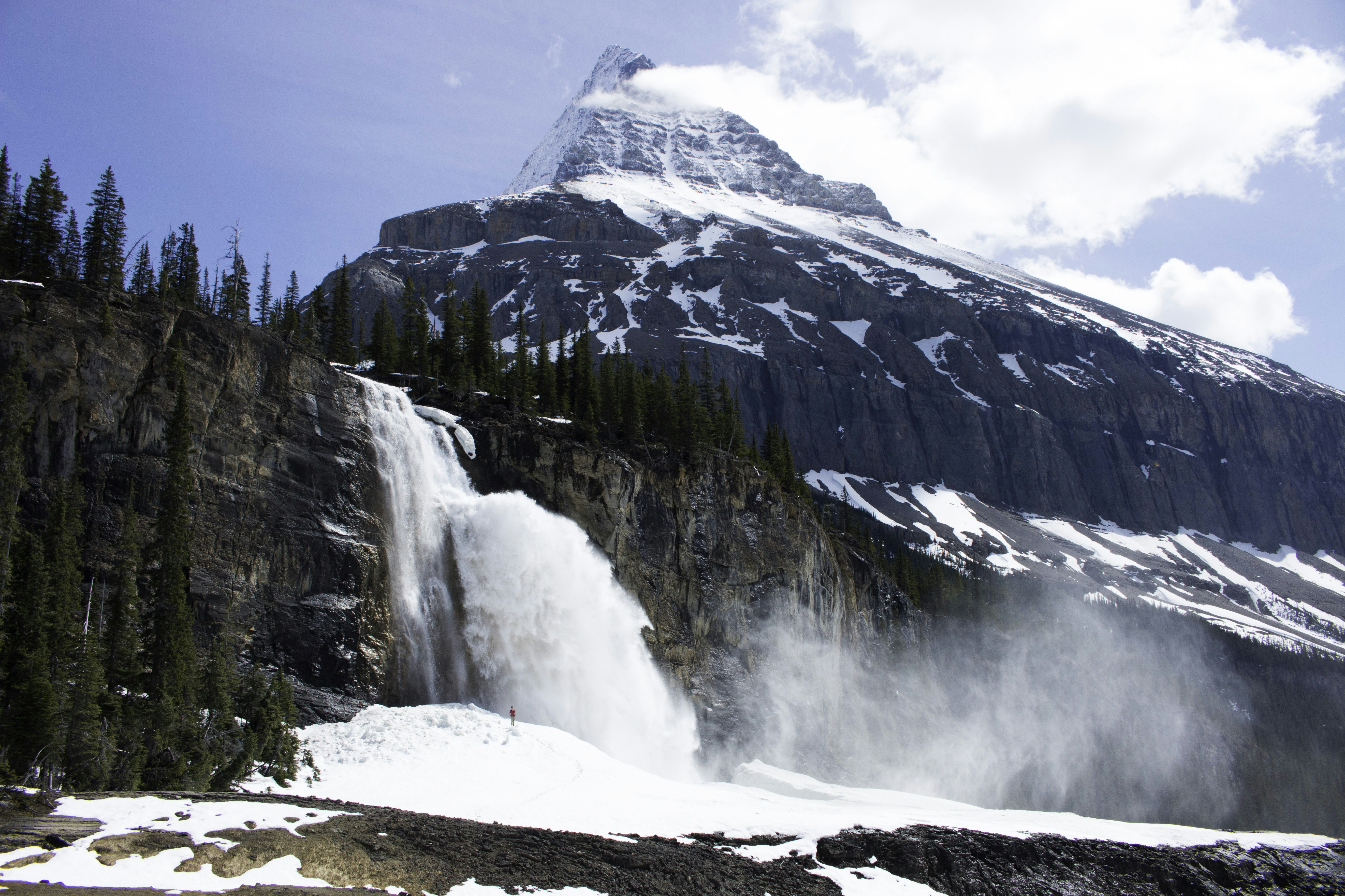 Free Unsplash photo from Nick Saxby