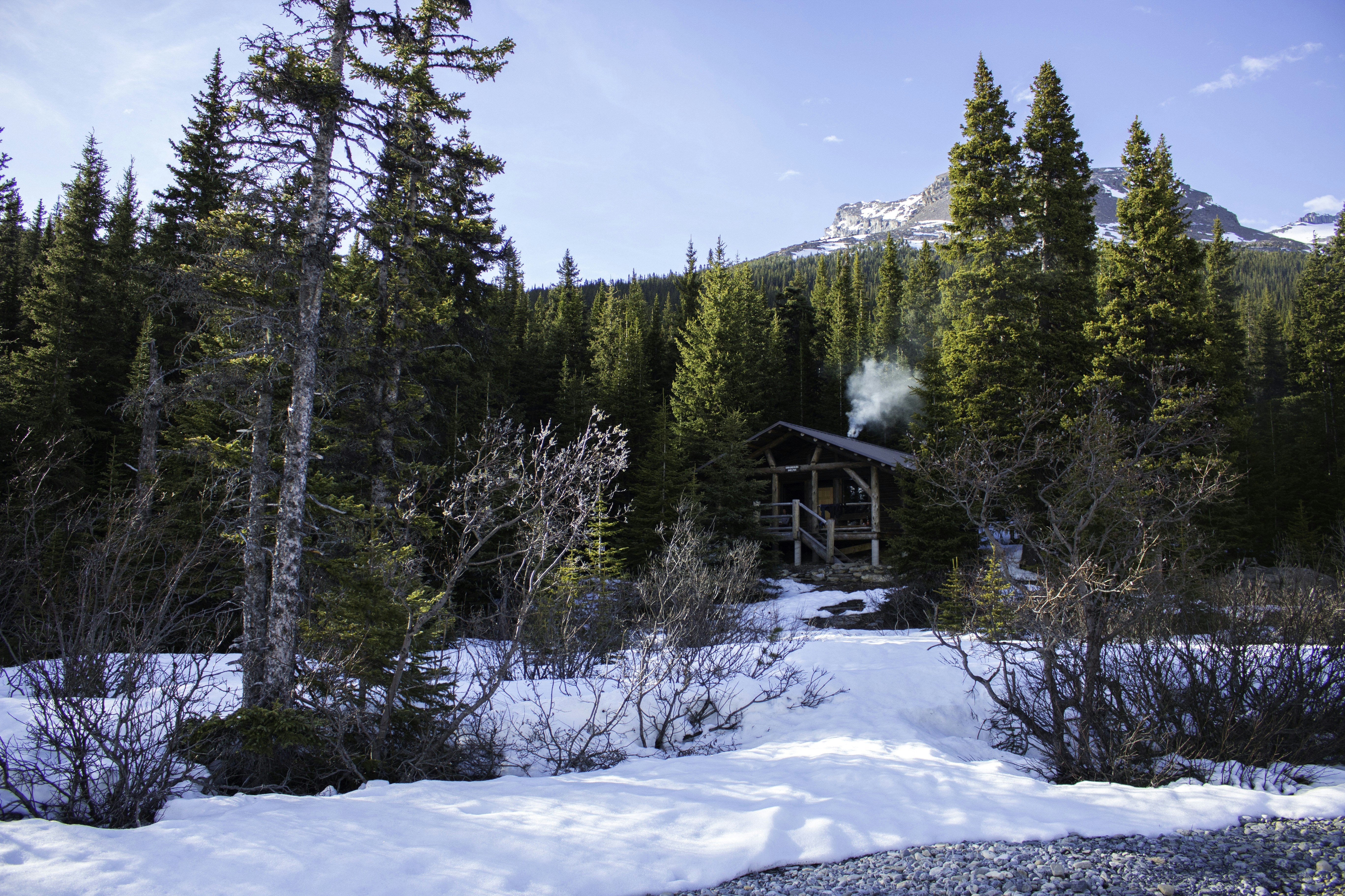 Free Unsplash photo from Nick Saxby