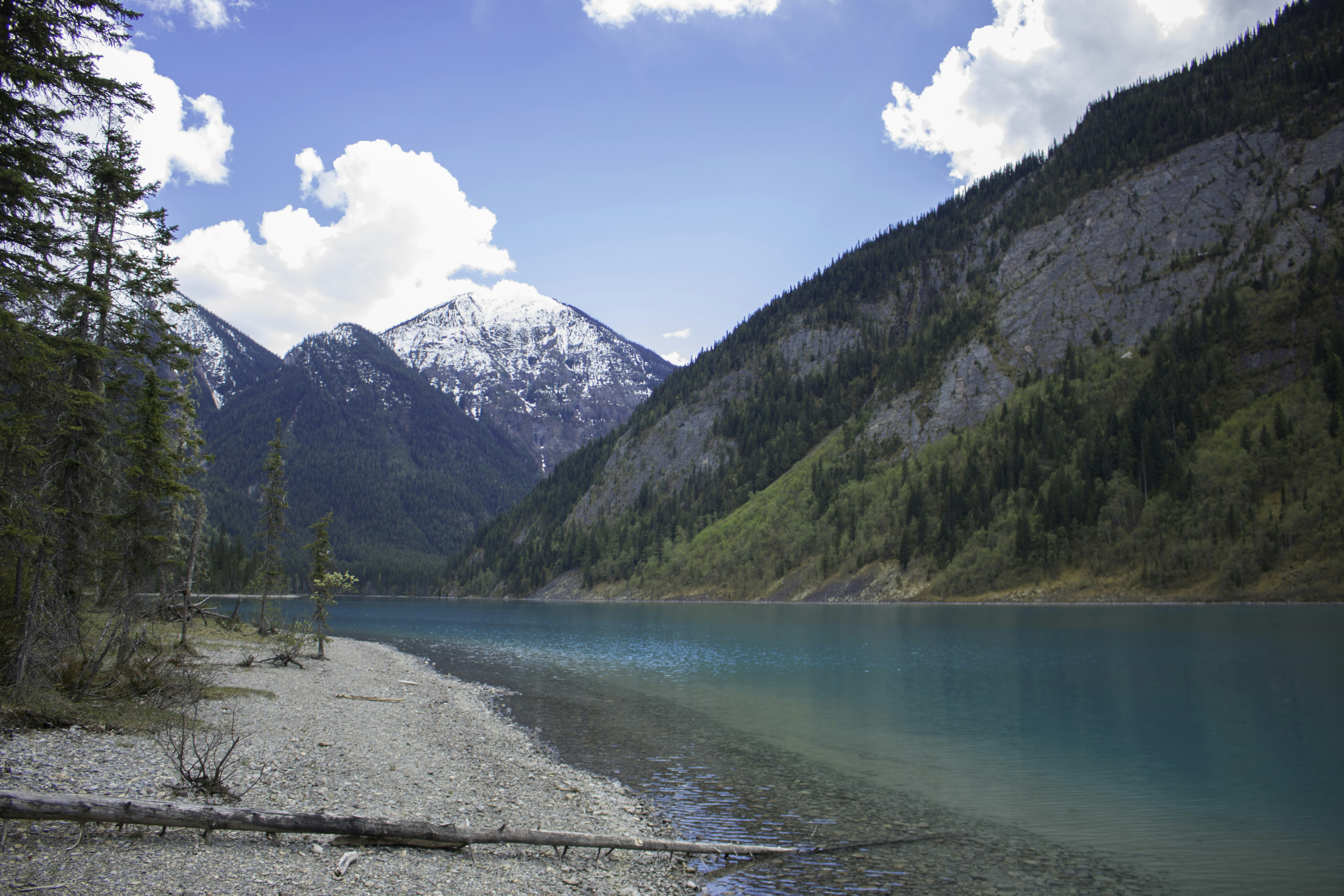 Free Unsplash photo from Nick Saxby