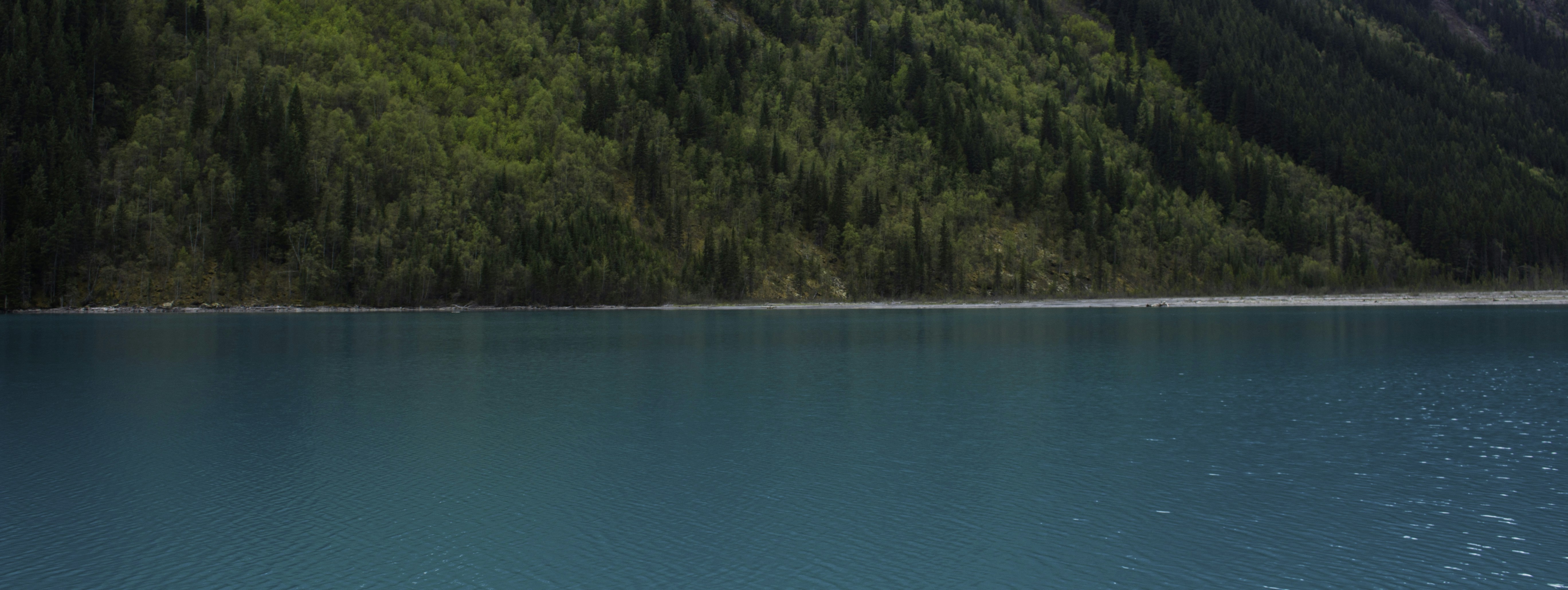 Free Unsplash photo from Nick Saxby