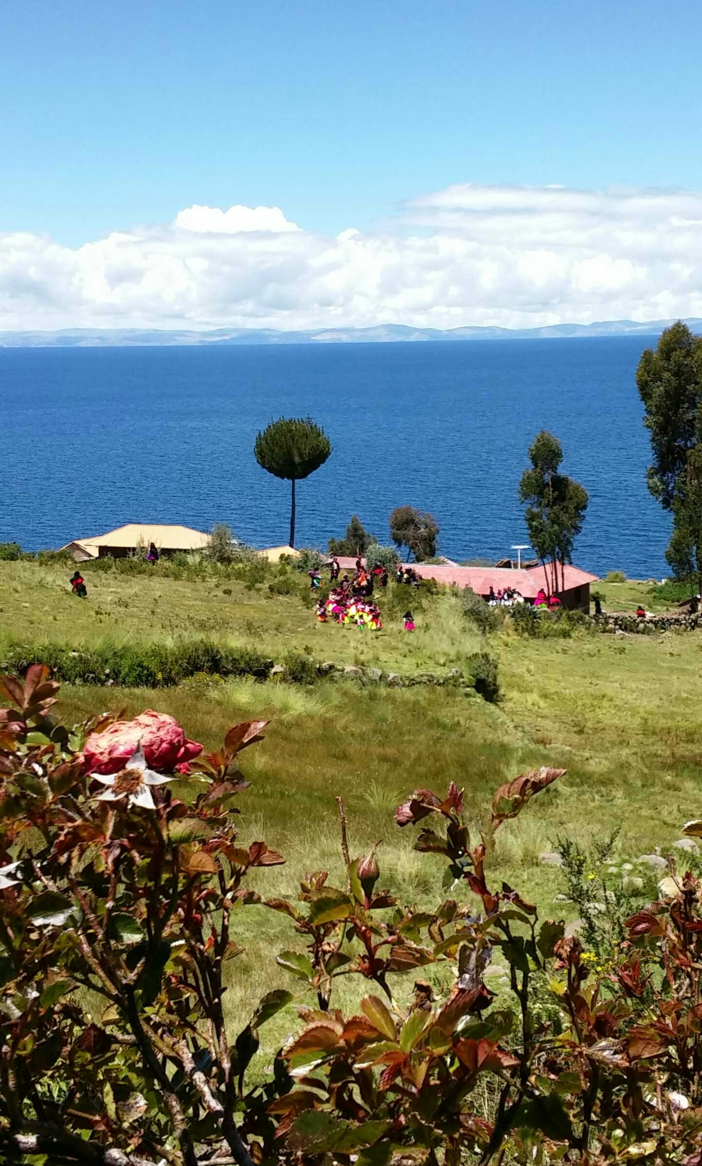 Free Unsplash photo from Ludwik de Champs