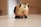 A ceramic or wooden piggy bank sits on a light wooden table. The piggy bank is painted with beige, black, and pink colors, showcasing a stylized and simplistic design. Its eyes are small and red, adding a playful element to its appearance.