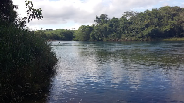 A tranquil river flowing gently through a lush green landscape.