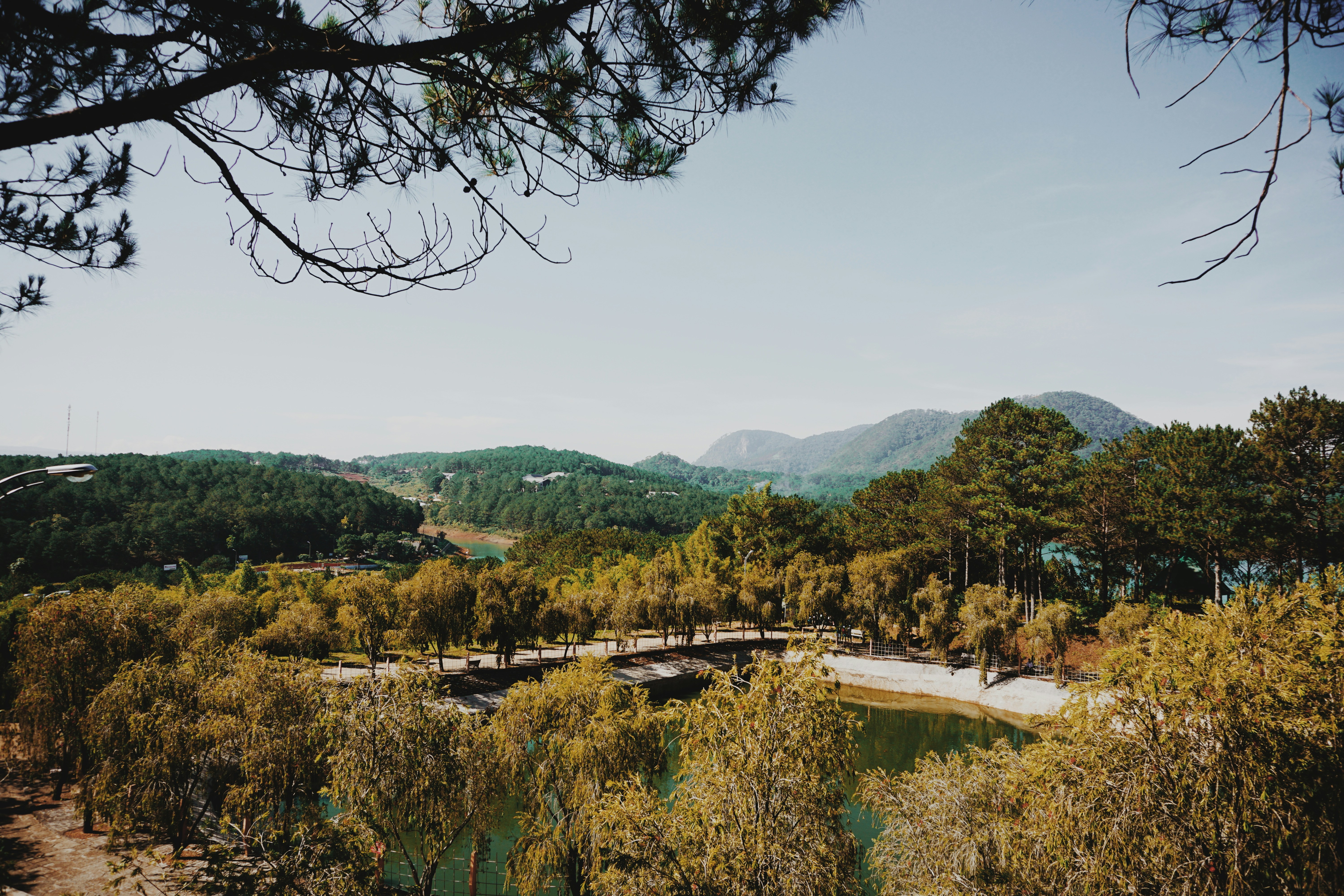 Free Unsplash photo from Vincent Dao