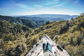 A breathtaking view of a Spanish forest with hikers planting trees.