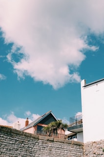 A cozy Miami home with a chimney and palm trees under a bright blue sky.