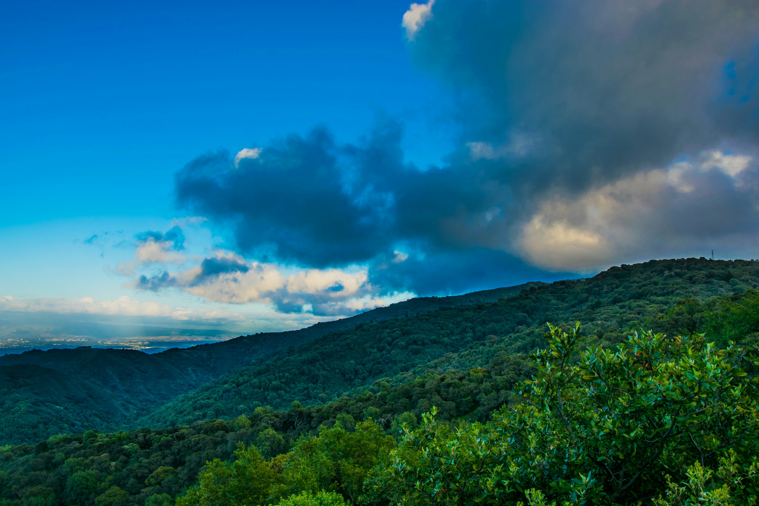 Free Unsplash photo from Alexey Ulashchick