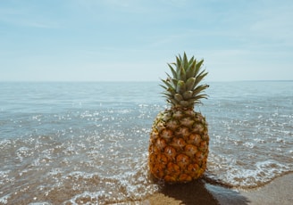 pineapple fruit on seashore