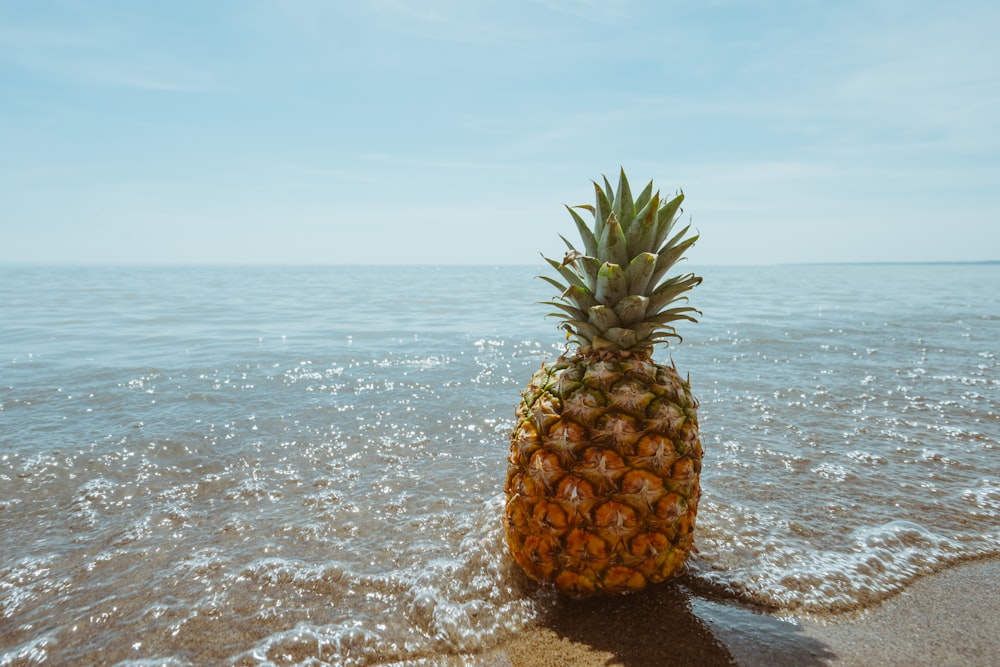 Fruta de piña a la orilla del mar