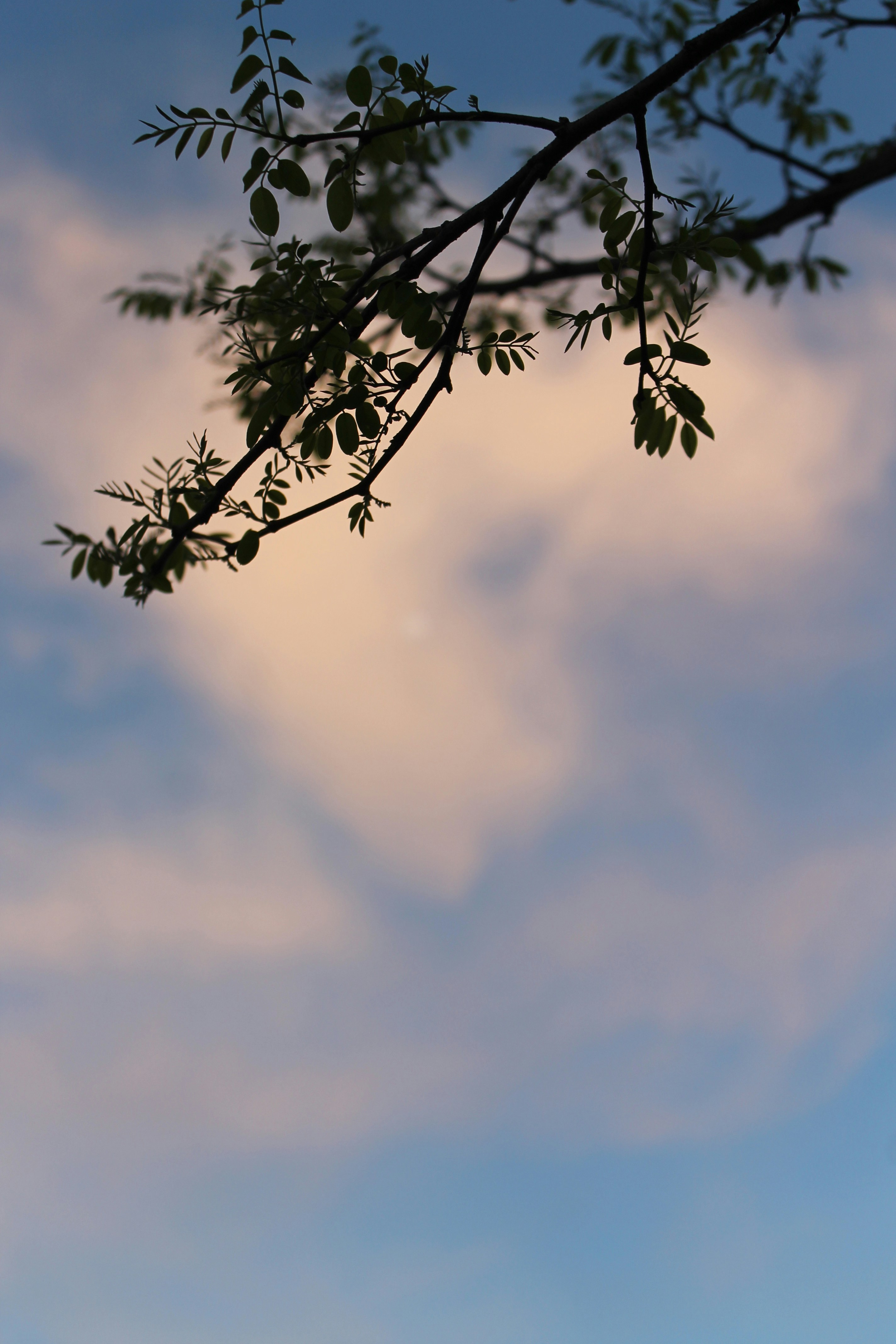 Free Unsplash photo from Pablo Andrés Sandoval Fuenzalida