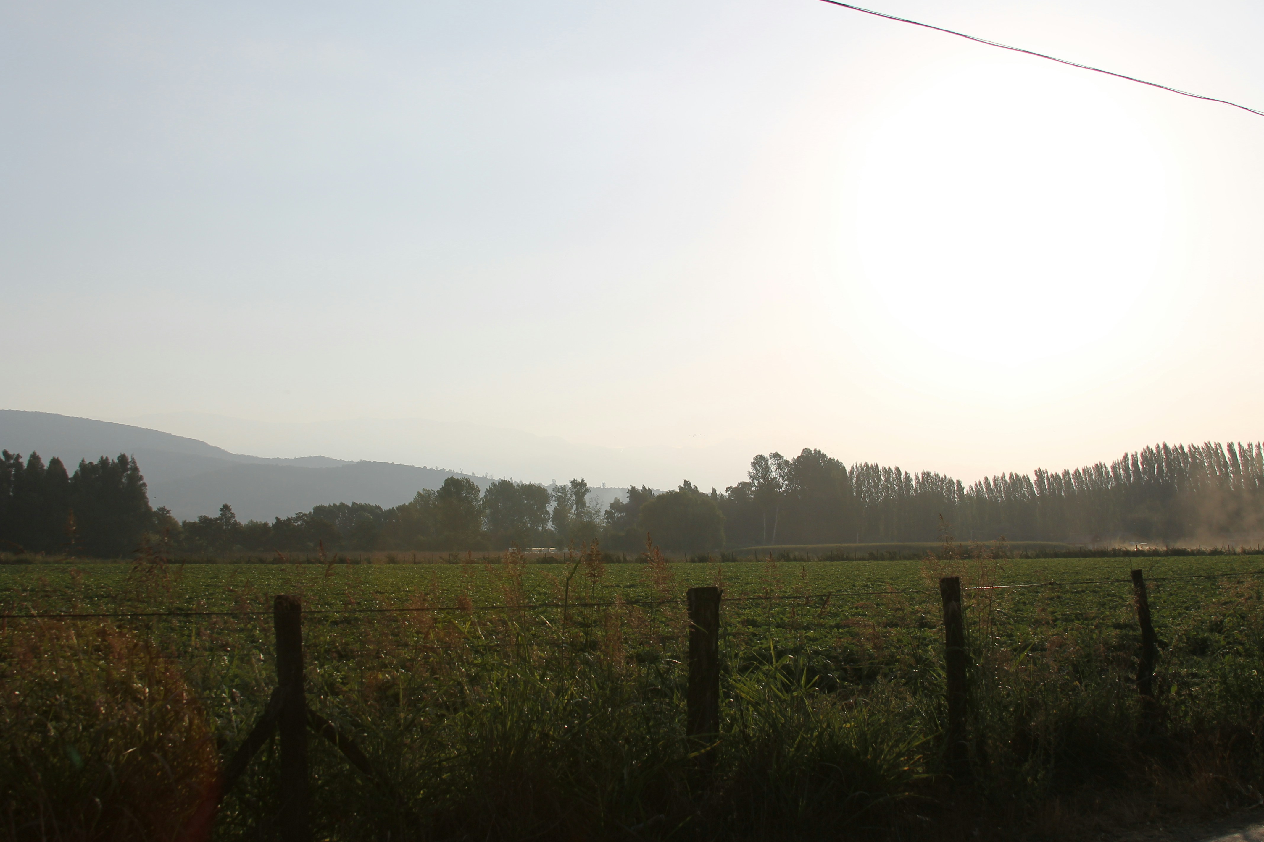 Free Unsplash photo from Pablo Andrés Sandoval Fuenzalida