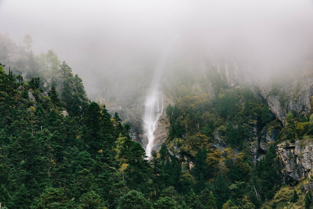 landscape photo of waterfalls surrounded by trees covered with fog