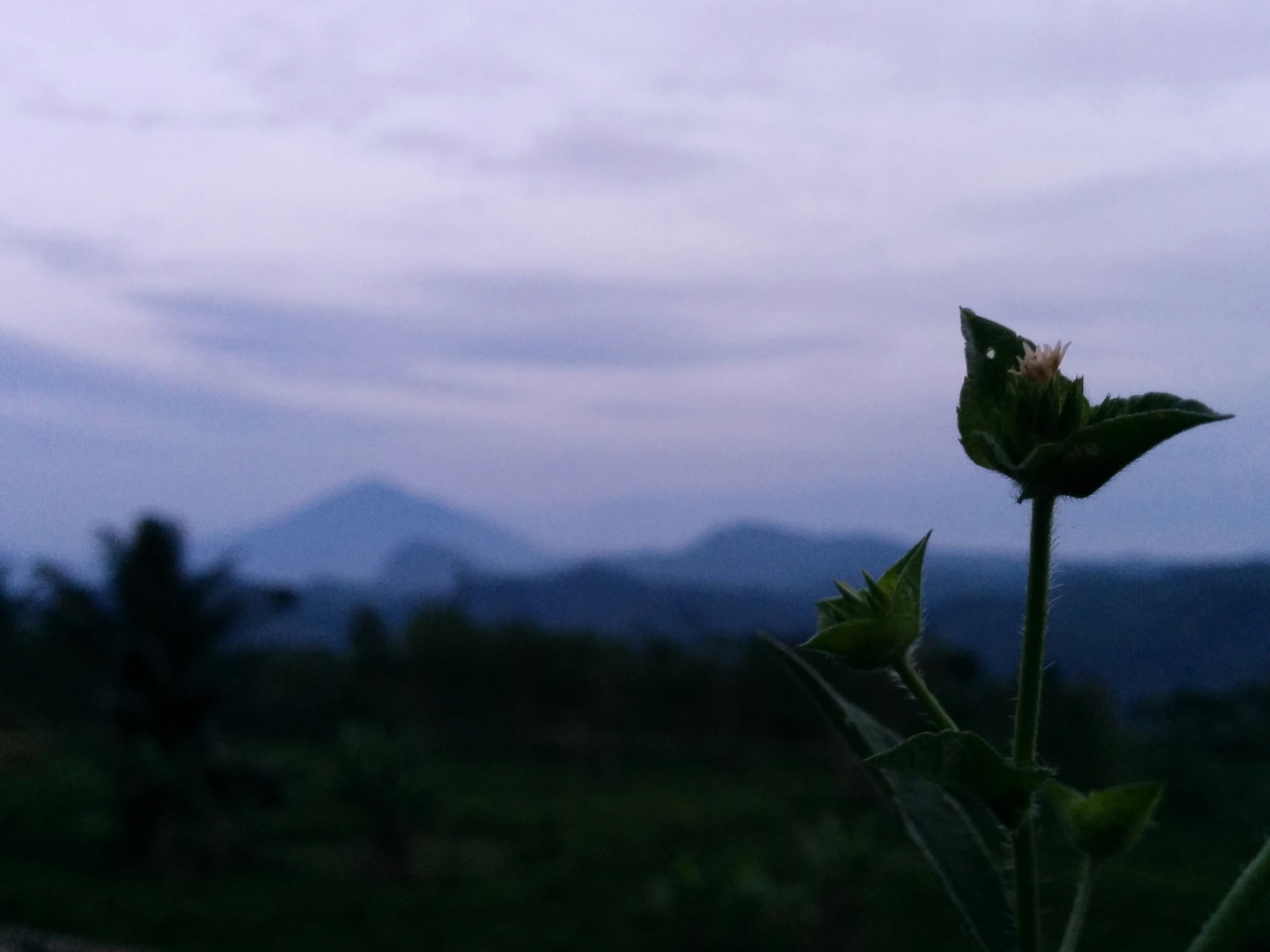 Free Unsplash photo from Iqbal Wahyu