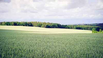 Agri Fintech & Insurance