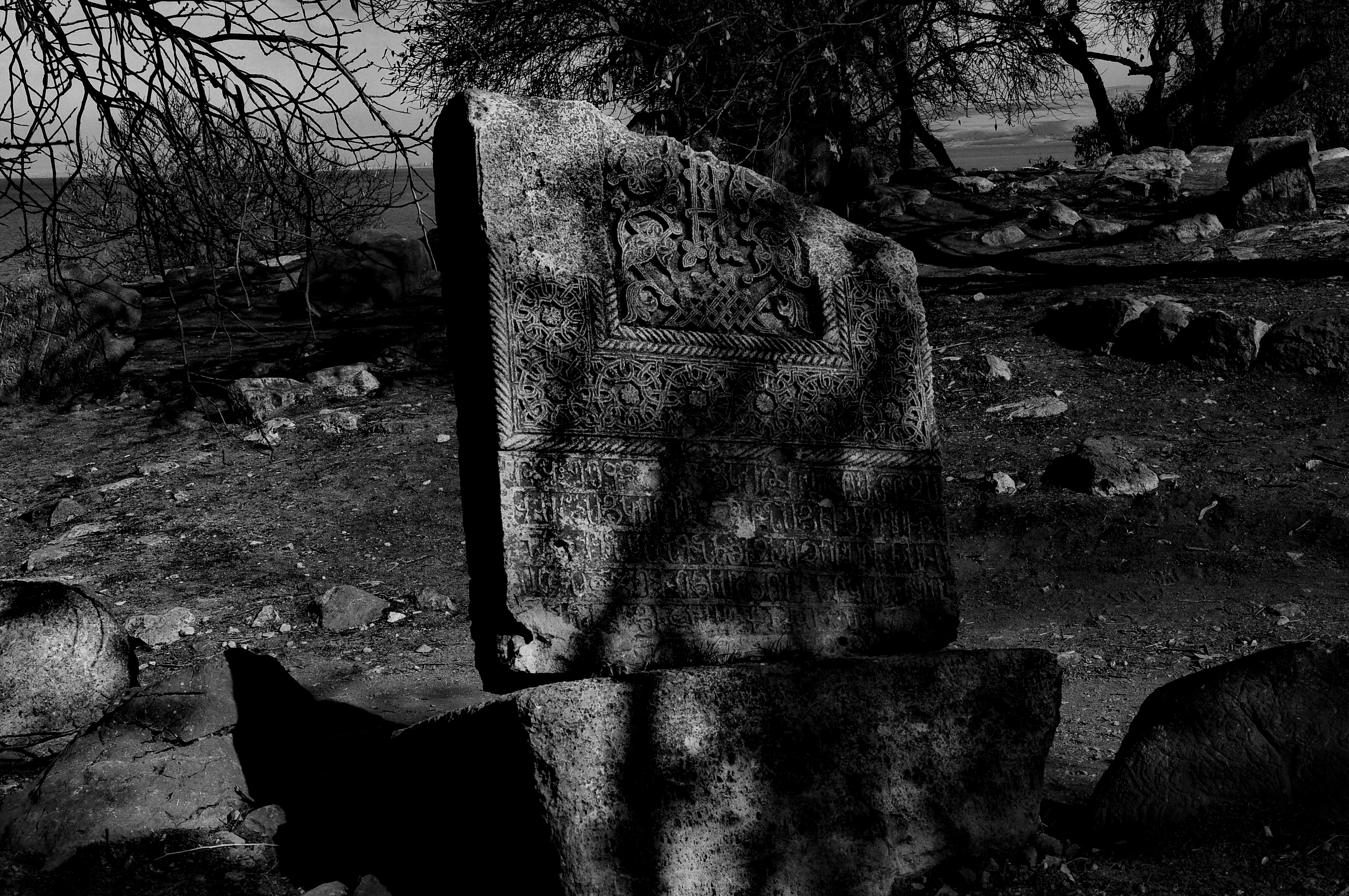 Free Unsplash photo from Rupen Janbazian