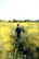 boys walking in yellow flower field during dayitme