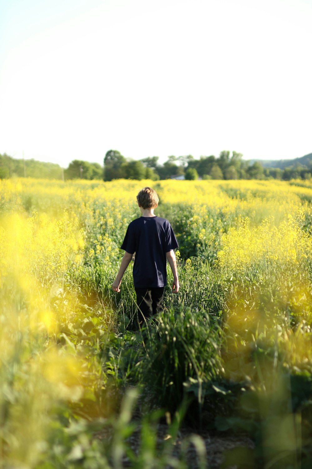 Jungen, die tagsüber im gelben Blumenfeld spazieren gehenitme