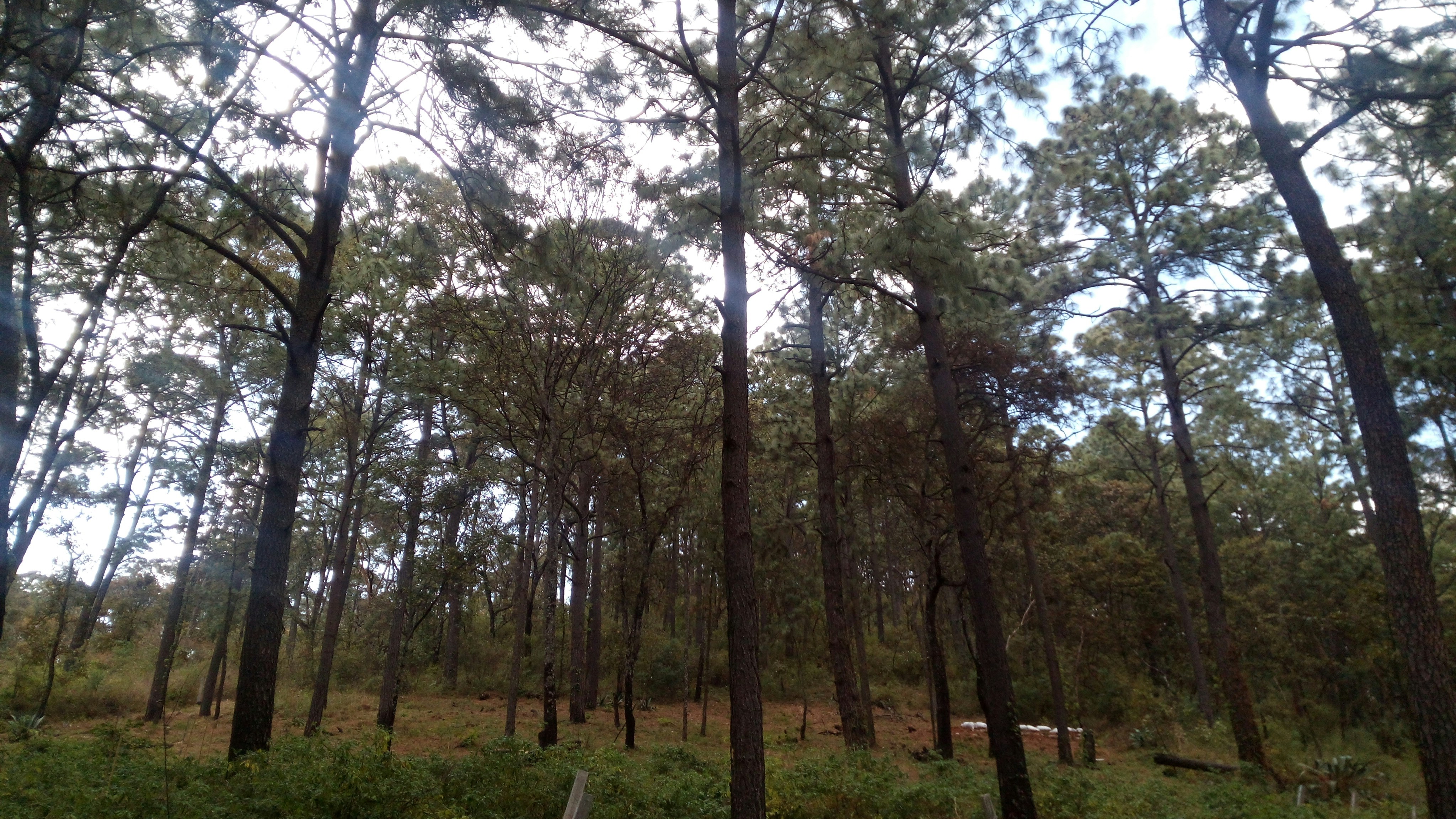 Free Unsplash photo from Joshua JS