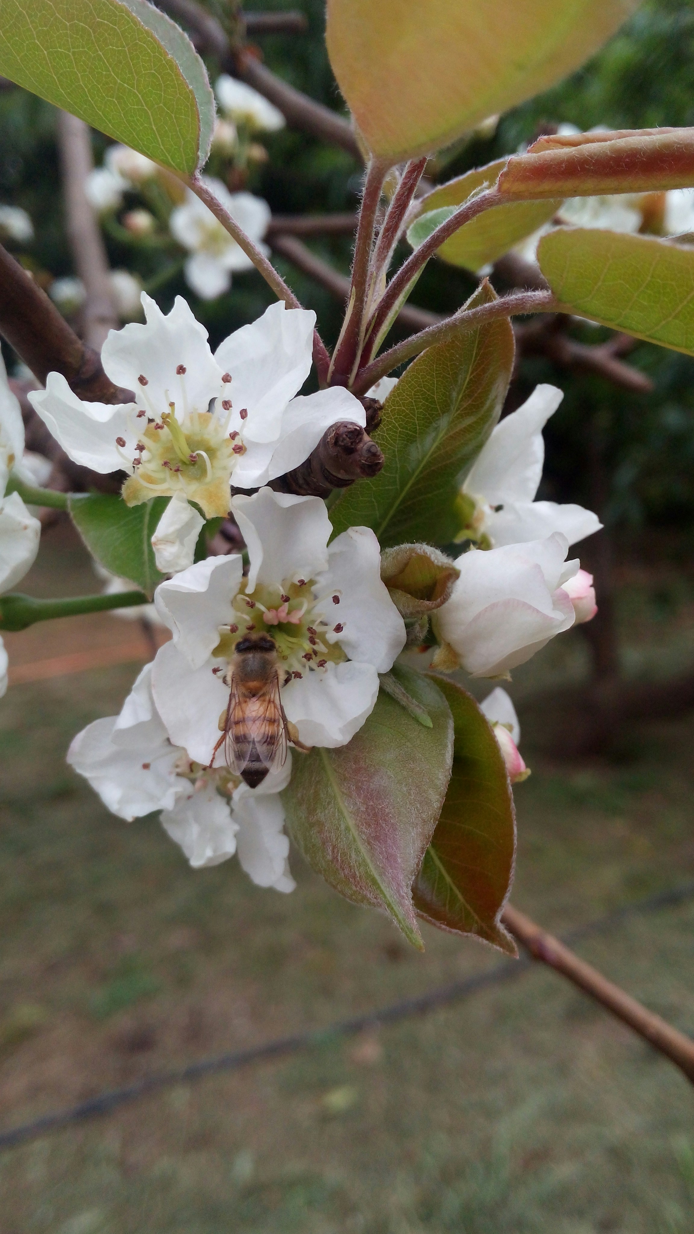 Free Unsplash photo from Joshua JS