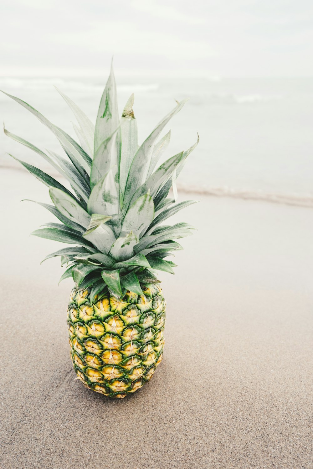 pineapple fruit on gray surface