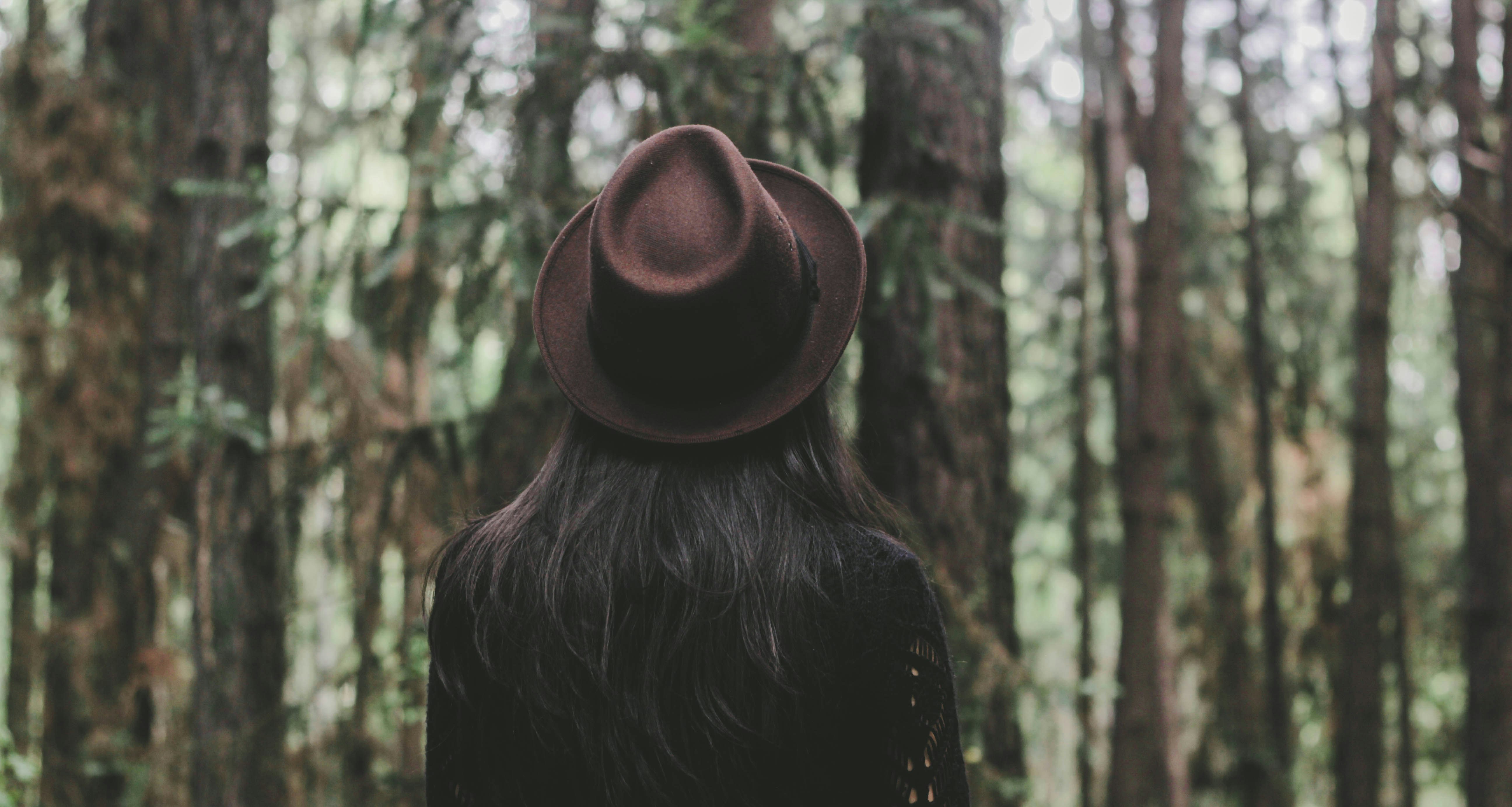 Woman admiring a forest