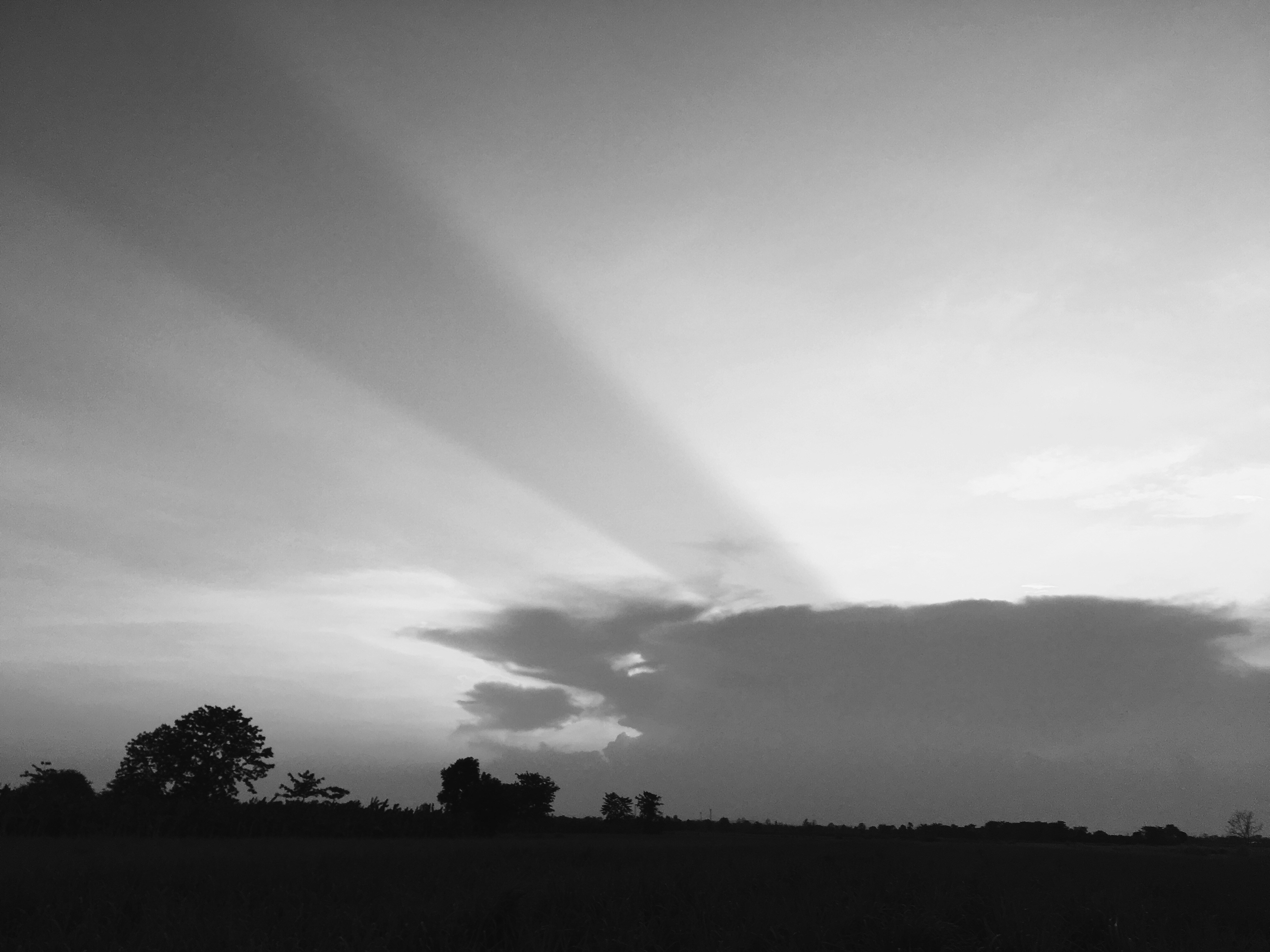 Free Unsplash photo from Pimchanok Peitdaeng