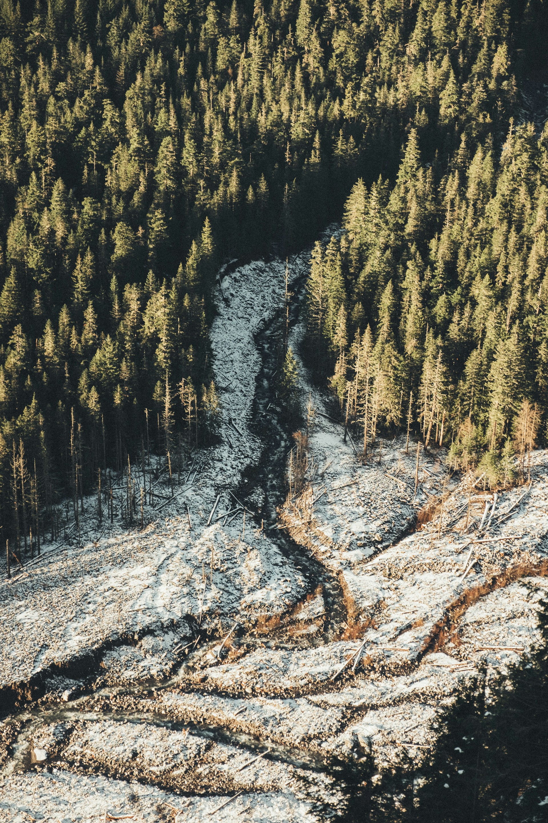 woman wearing yellow long-sleeved dress under white clouds and blue sky during daytime
