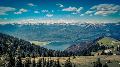 aerial photography of pine trees on mountain austria google meet background